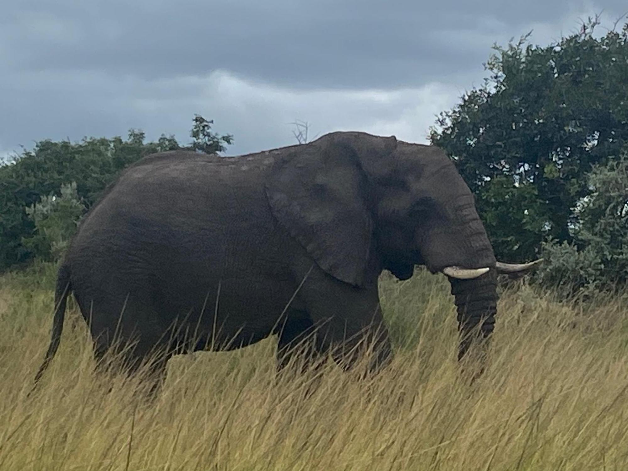 Вілла El Seuno De Africa -The Dream Of Africa Сент-Люсія Екстер'єр фото