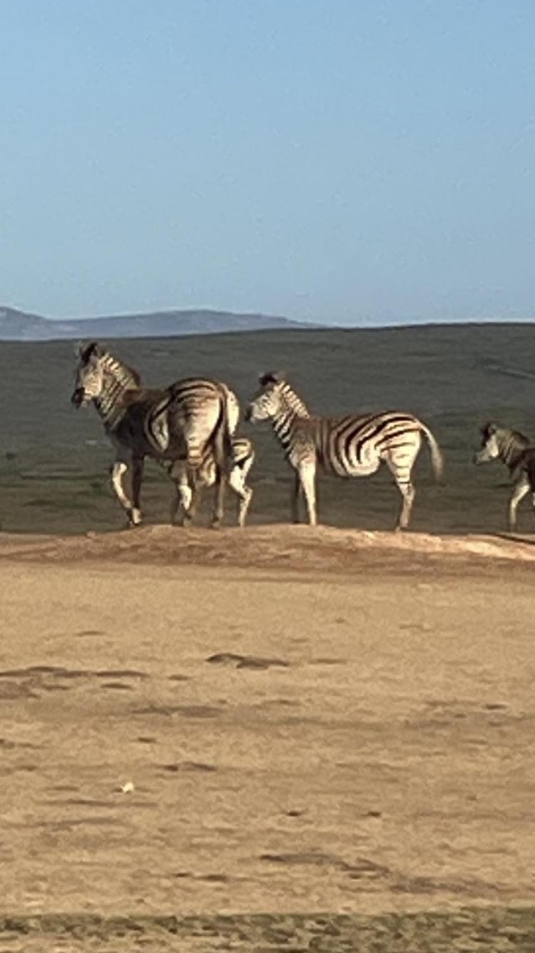 Вілла El Seuno De Africa -The Dream Of Africa Сент-Люсія Екстер'єр фото